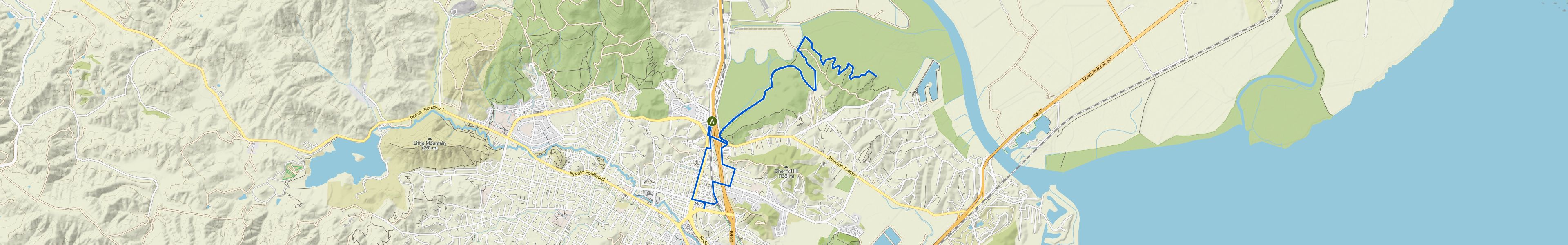 map_image_toggle