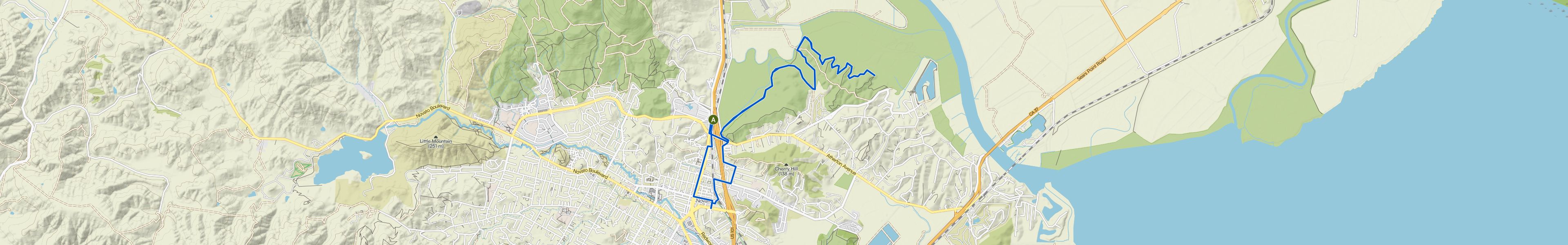 map_image_toggle