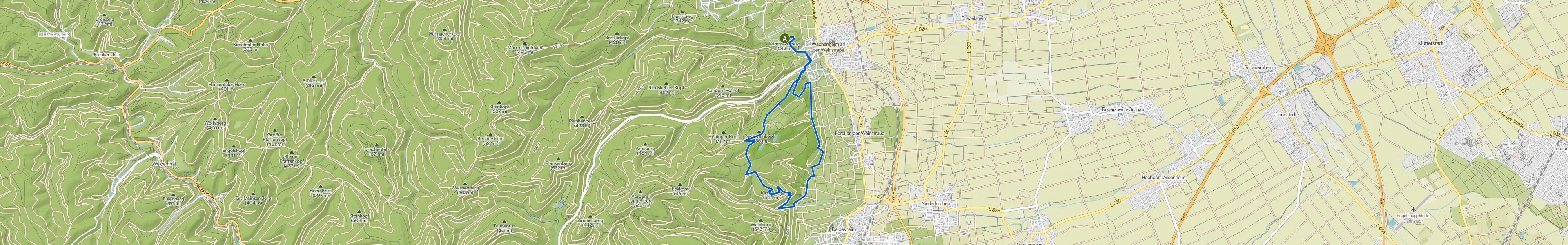 map_image