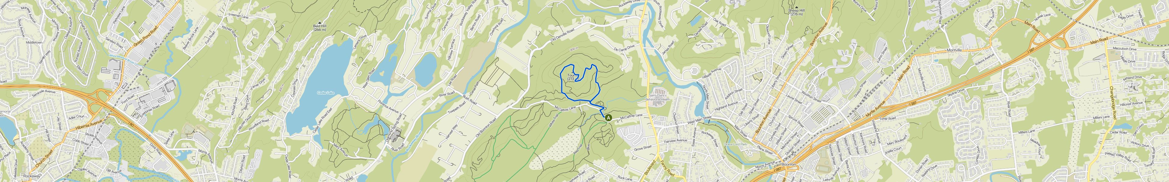 map_image_toggle