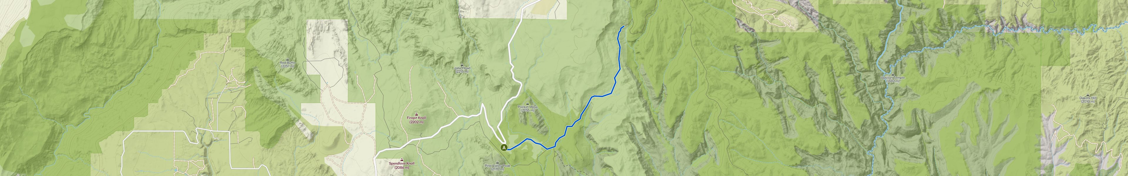 map_image_toggle