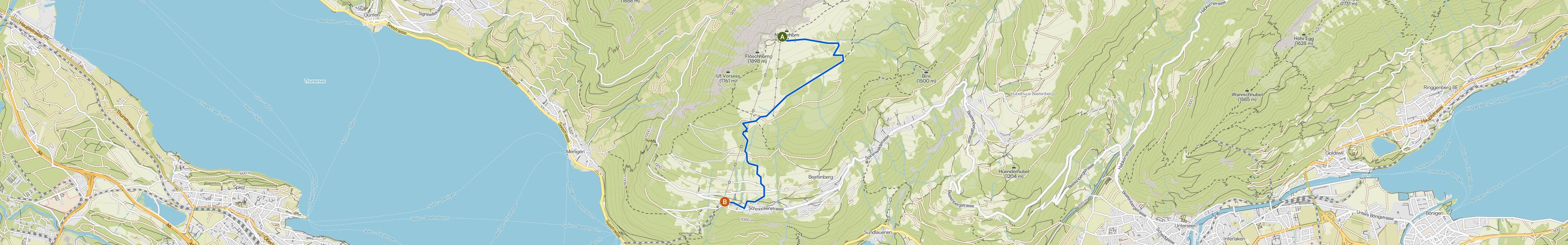 map_image_toggle