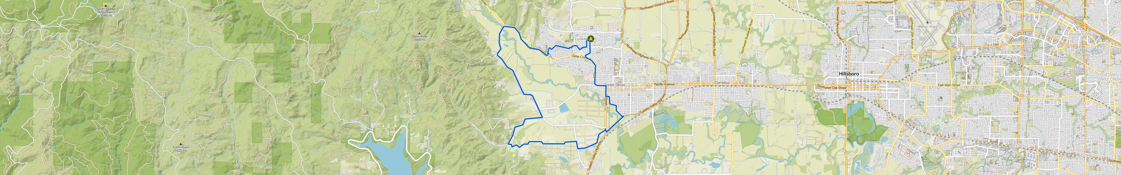 map_image_toggle