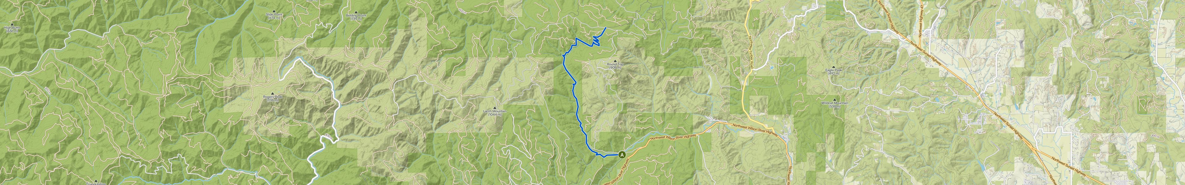 map_image_toggle