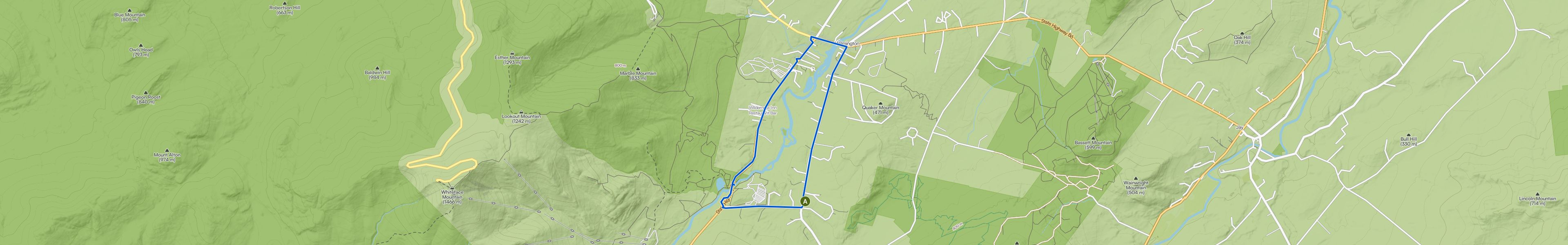 map_image_toggle