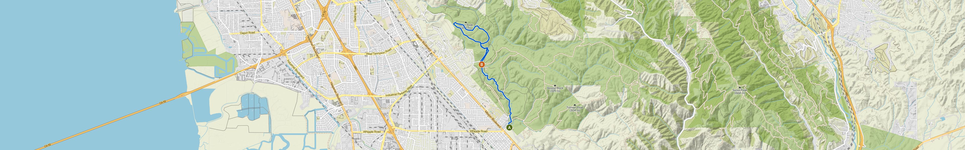 map_image_toggle