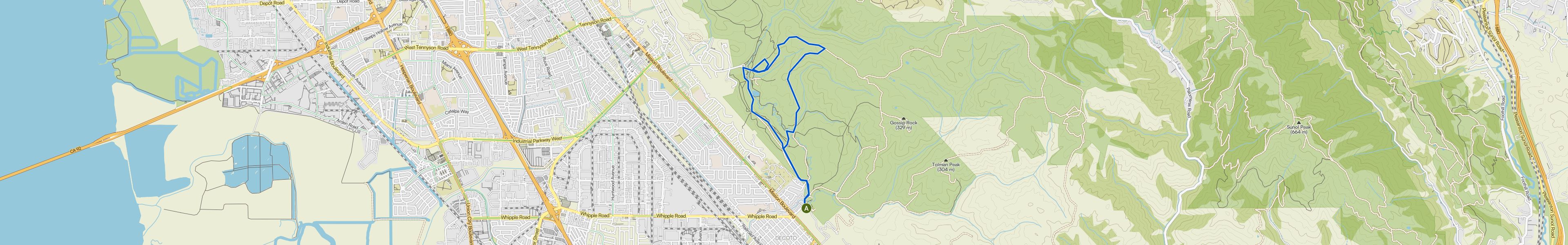 map_image_toggle