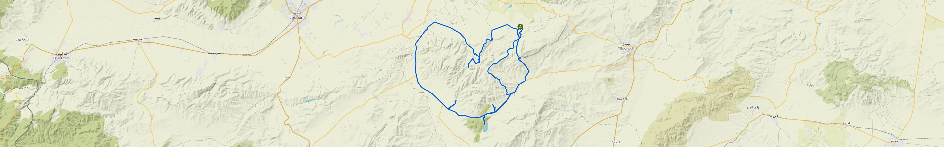 map_image