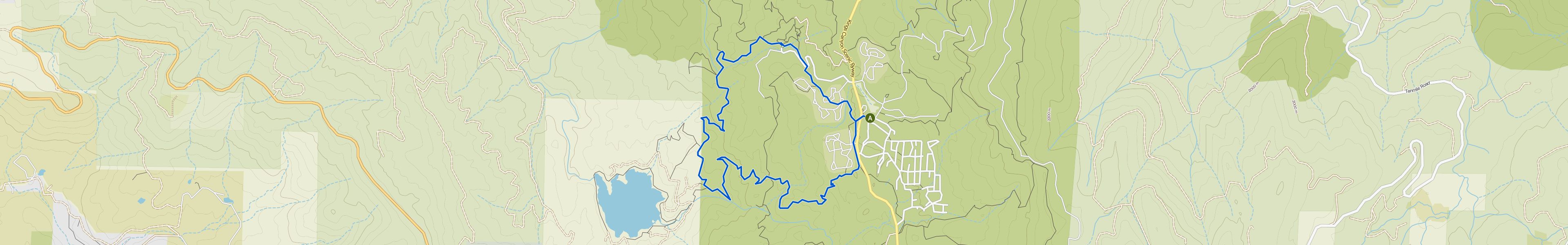 map_image_toggle