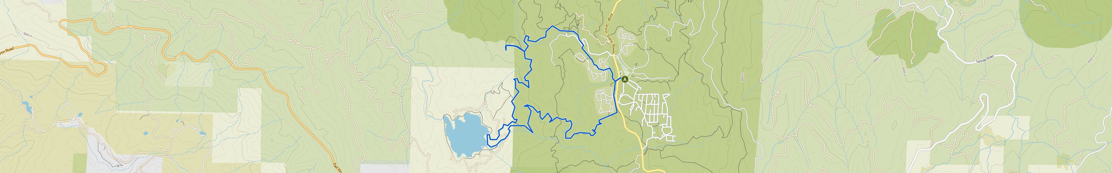 map_image_toggle