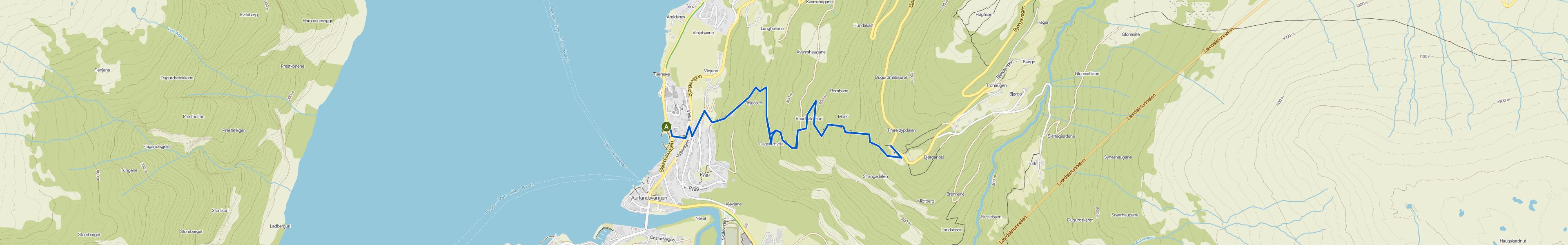 map_image