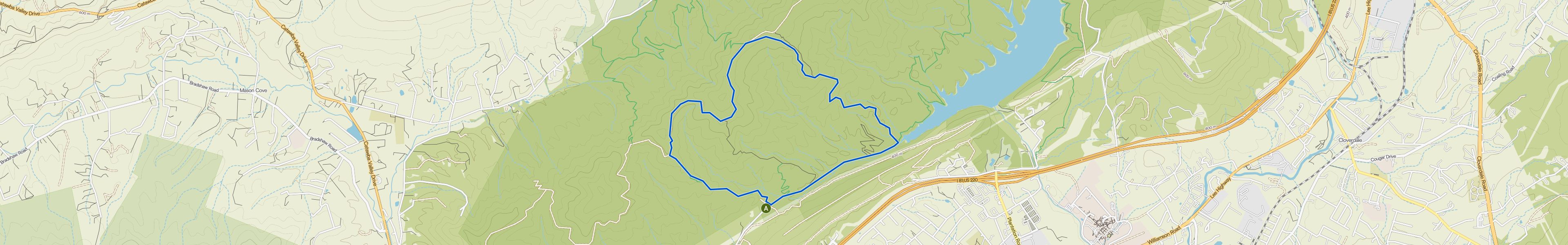 map_image_toggle