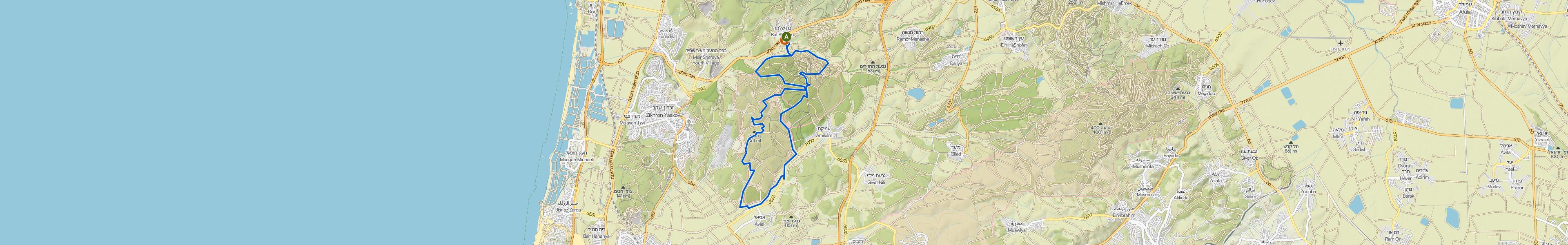 map_image