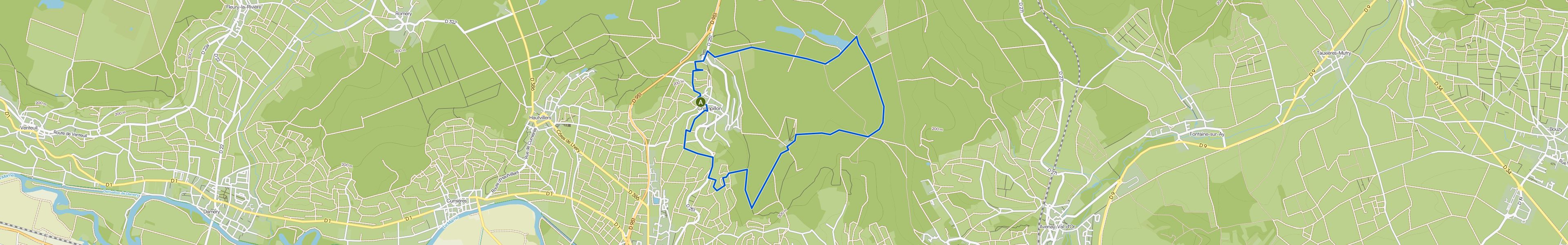 map_image