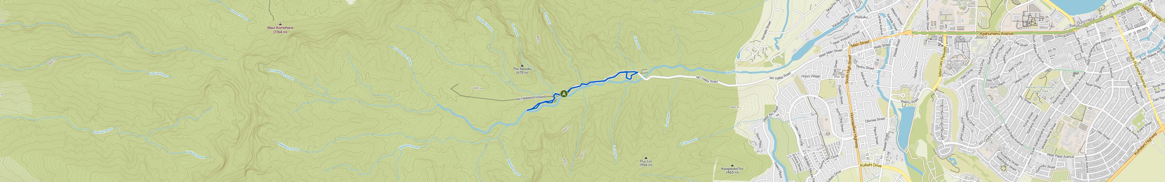 map_image_toggle