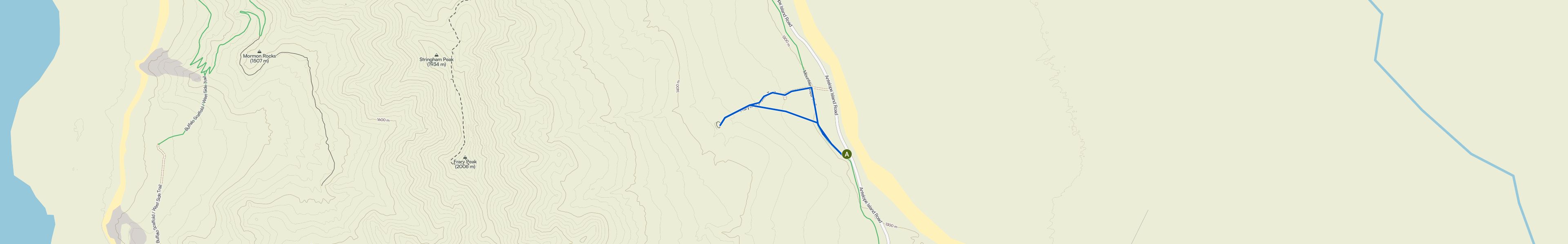 map_image_toggle