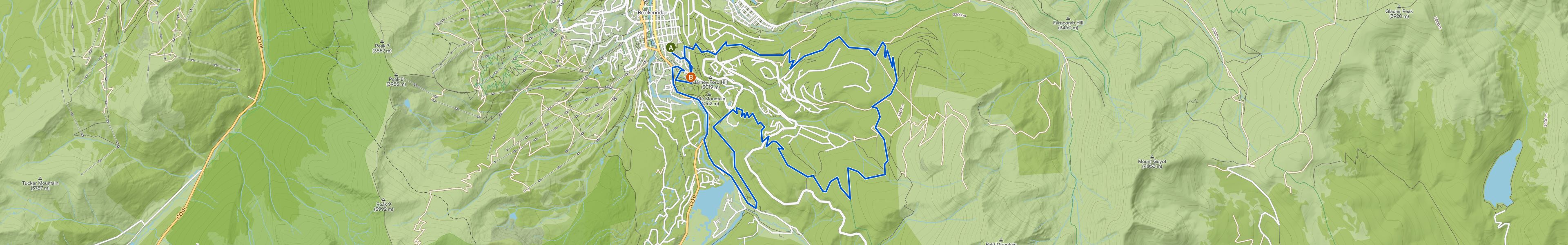 map_image_toggle