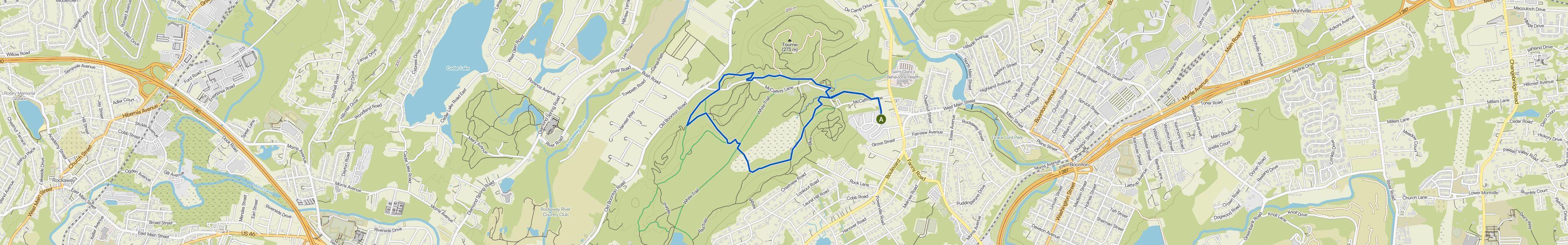 map_image_toggle