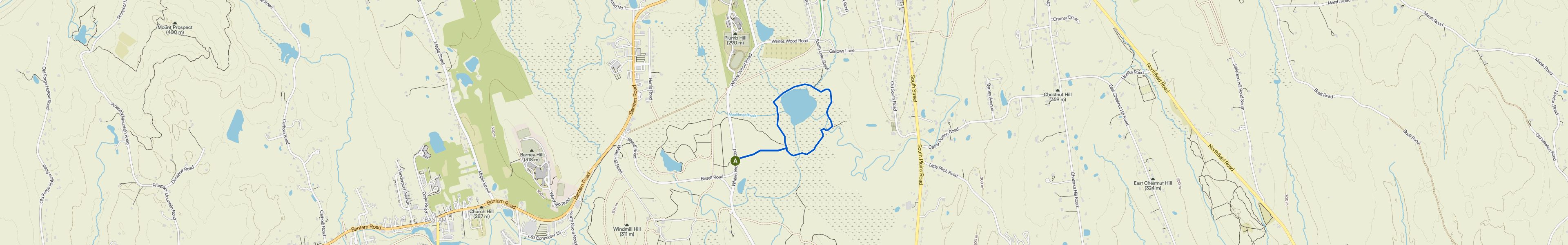 map_image_toggle