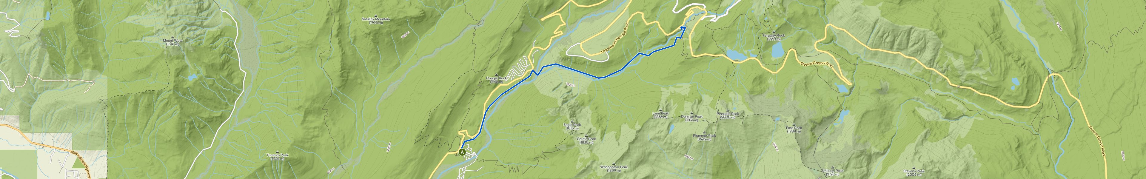 map_image_toggle