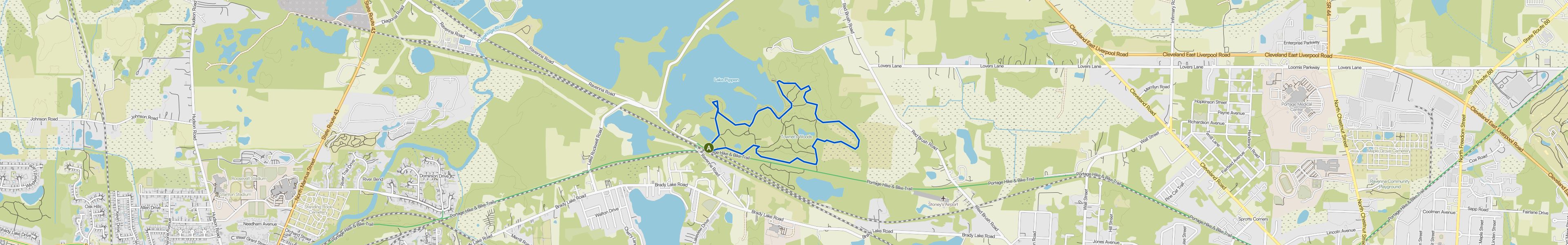 map_image_toggle