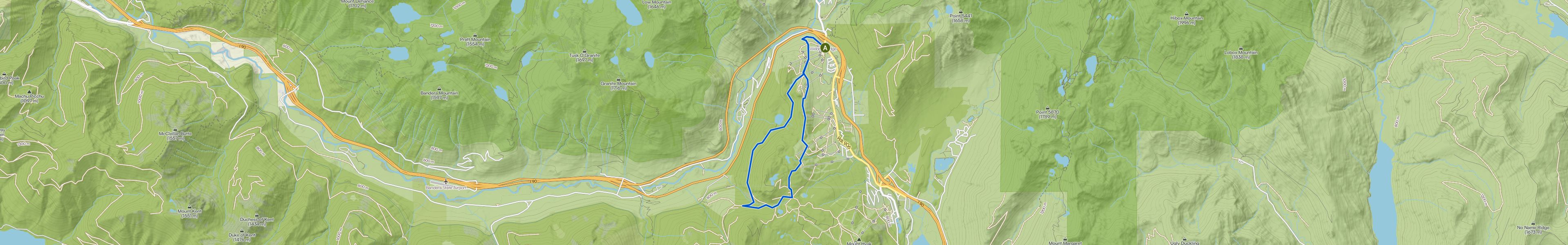 map_image_toggle