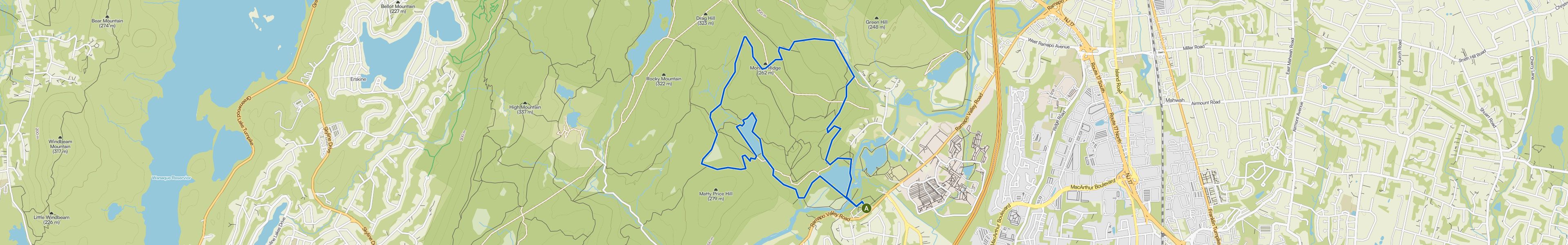 map_image_toggle