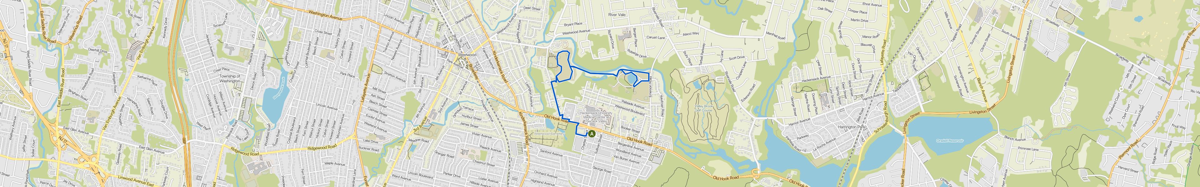 map_image_toggle