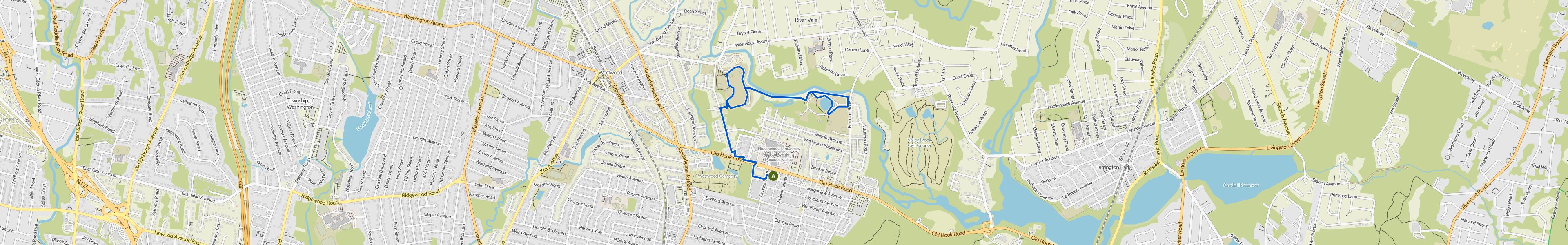 map_image_toggle