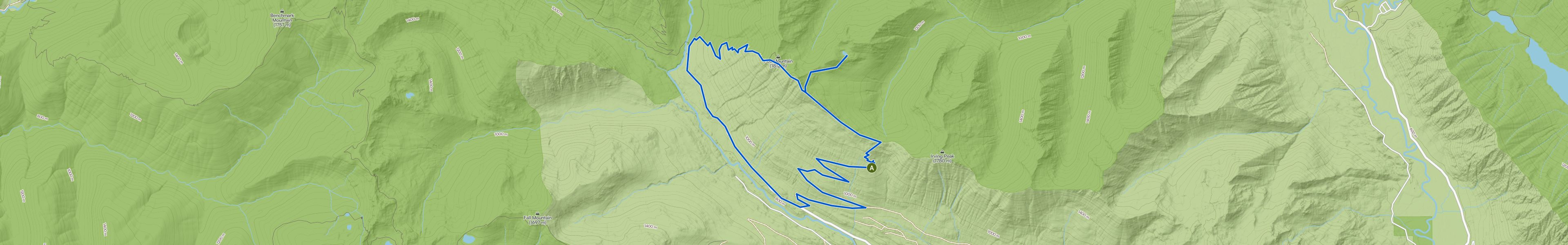 map_image_toggle