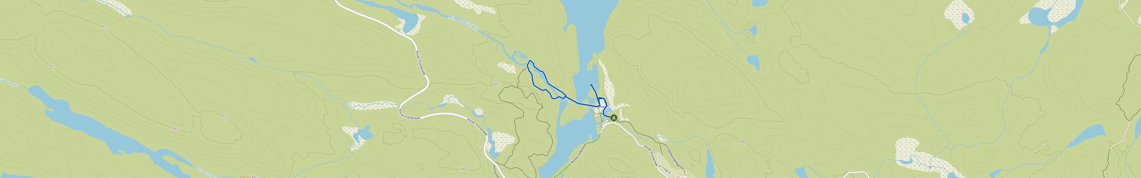 map_image_toggle