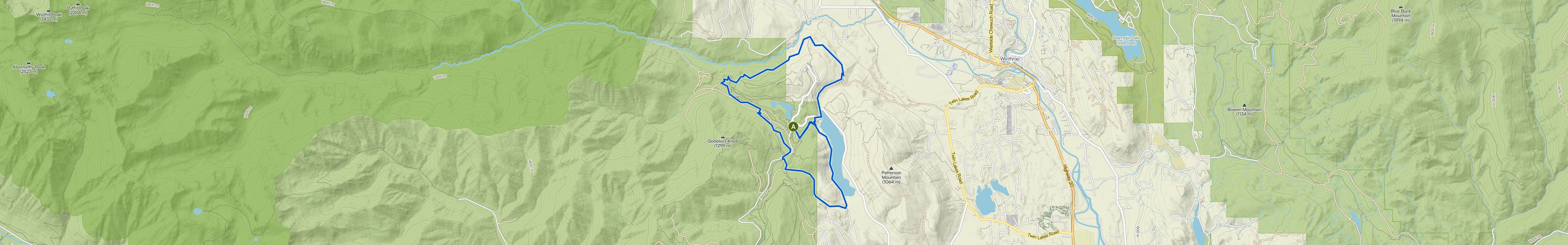 map_image_toggle
