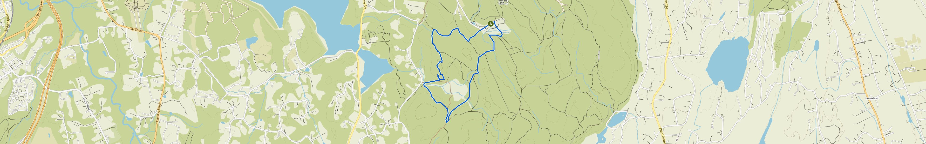 map_image_toggle