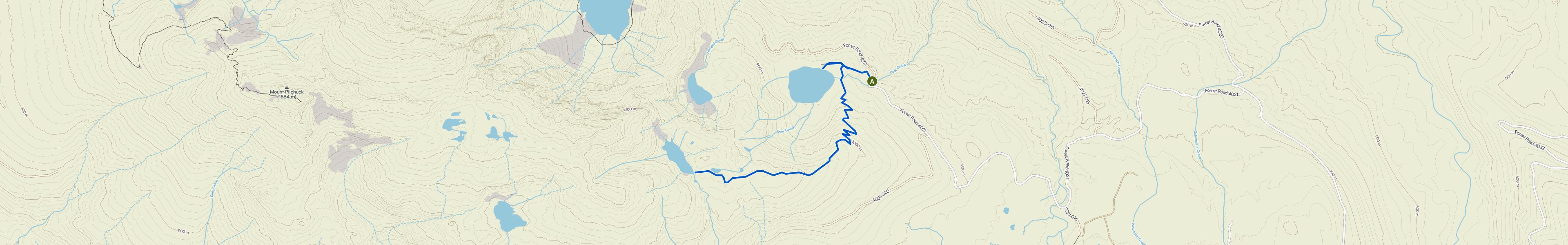 map_image_toggle
