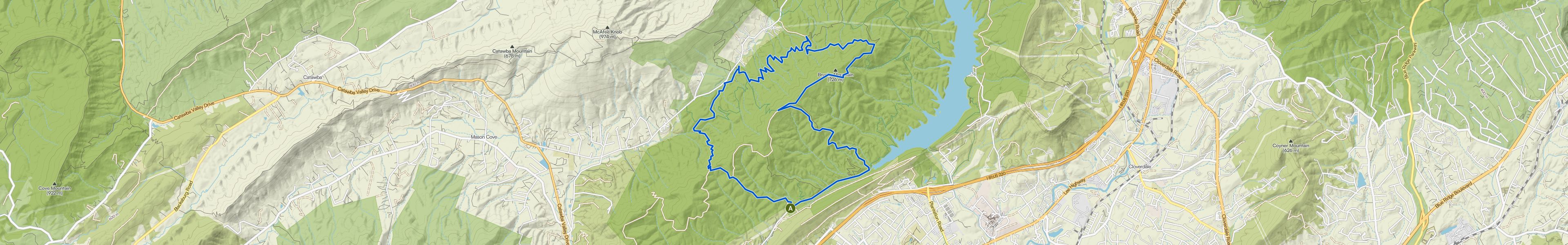 map_image_toggle