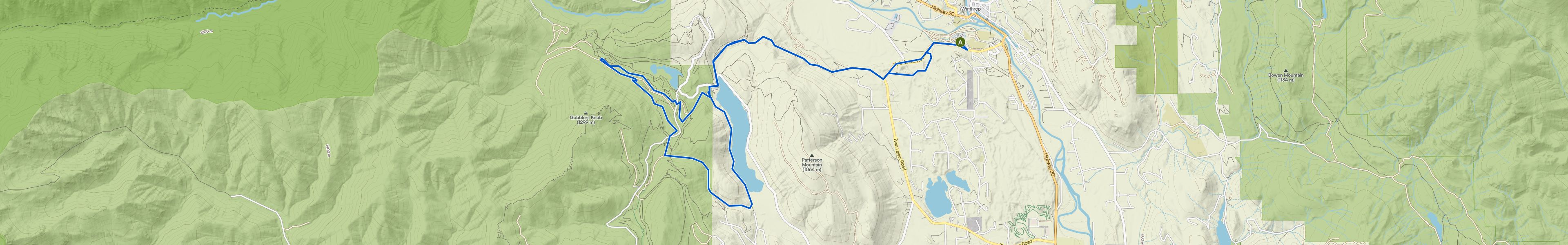 map_image_toggle