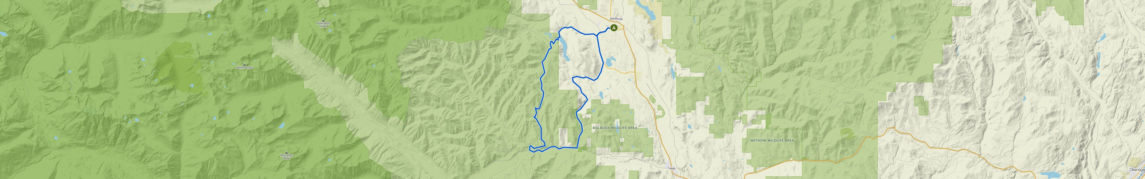 map_image_toggle