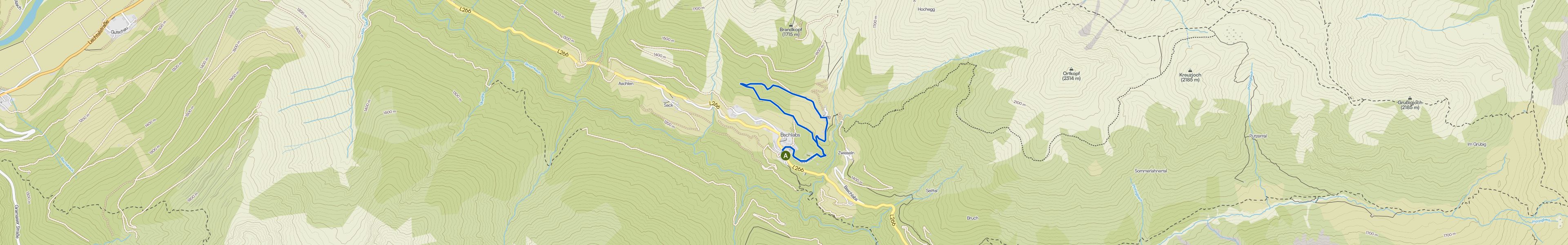map_image_toggle