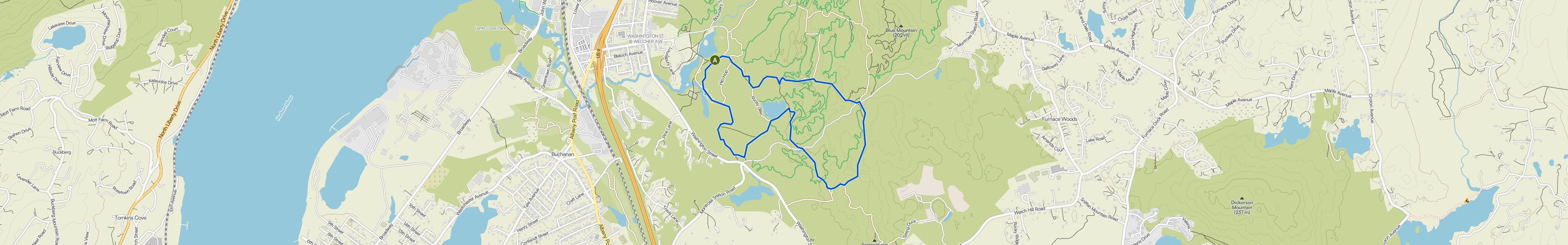 map_image_toggle