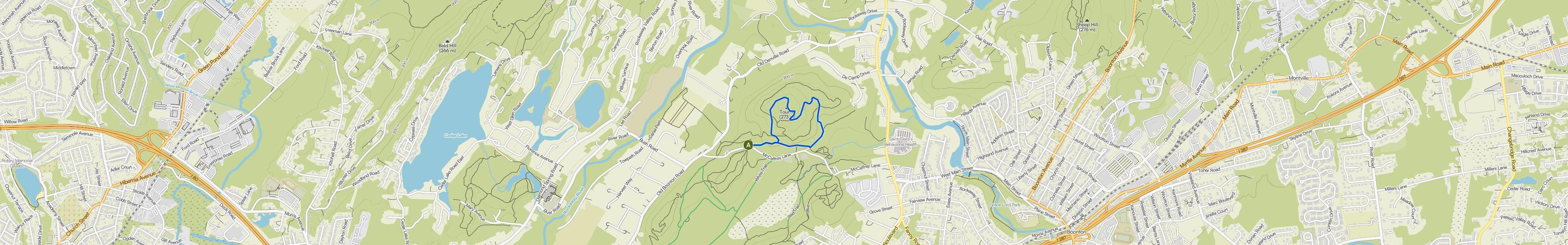 map_image_toggle