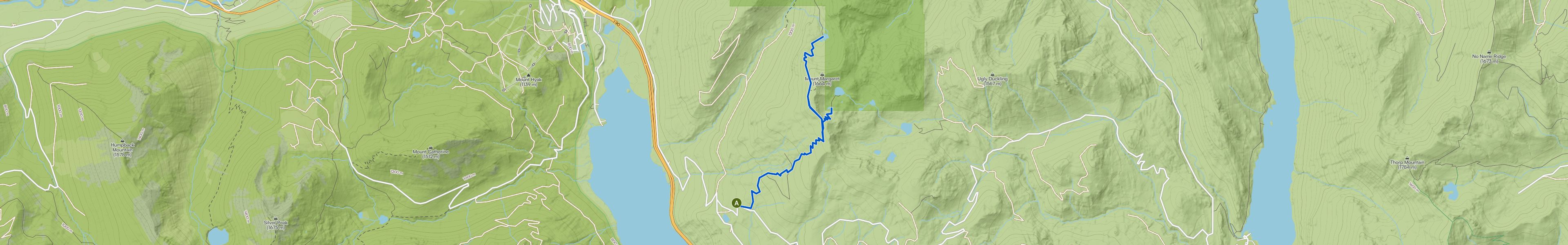 map_image_toggle