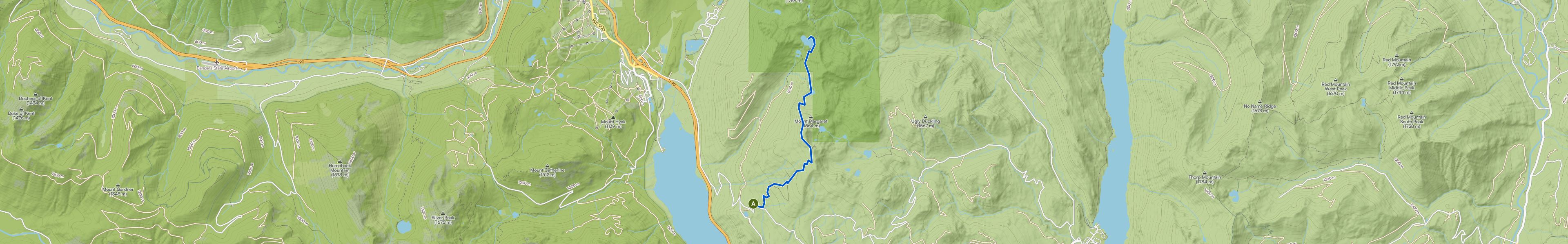 map_image_toggle
