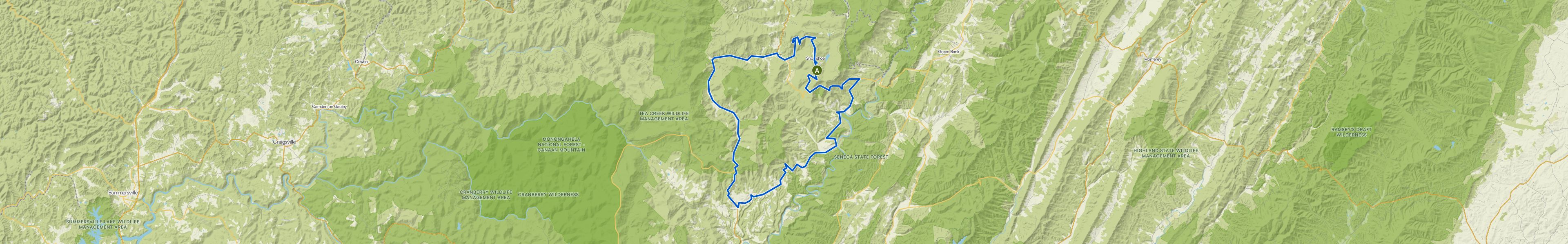 map_image_toggle