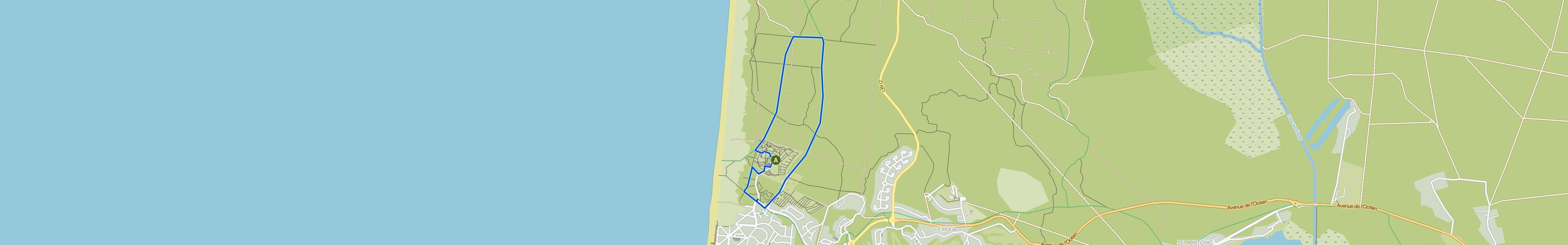 map_image