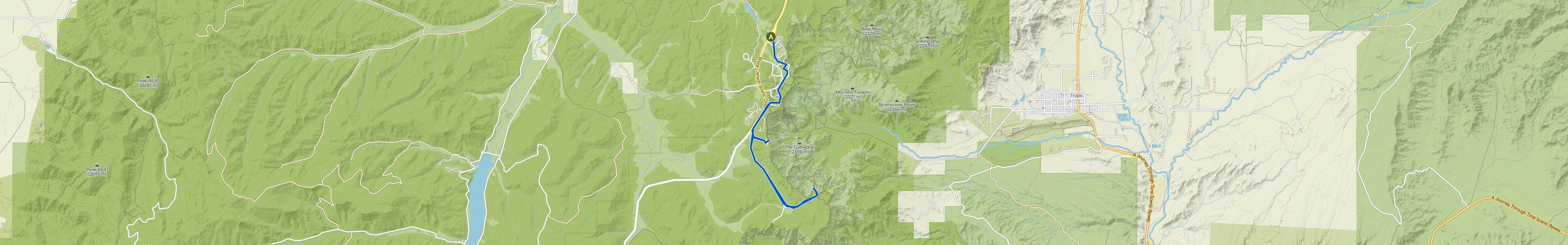 map_image_toggle