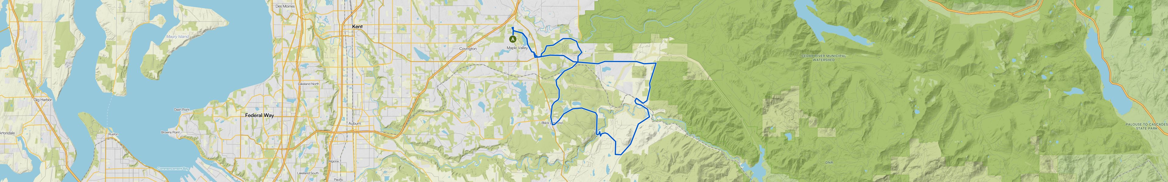 map_image_toggle
