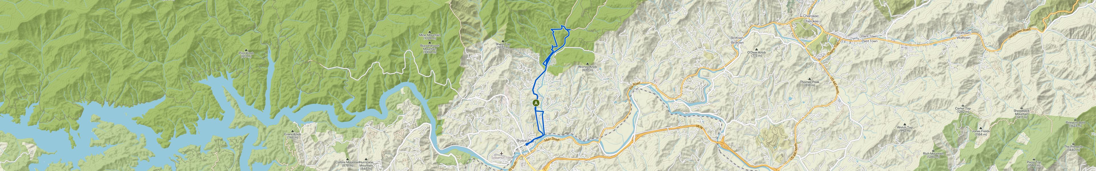 map_image_toggle