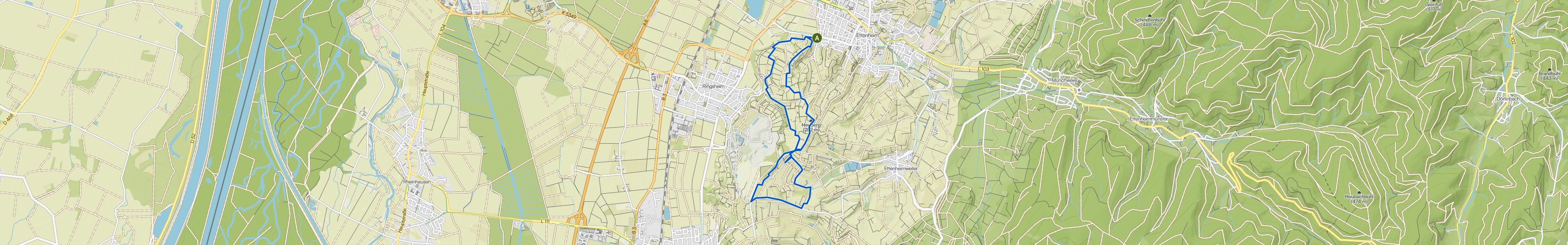 map_image_toggle