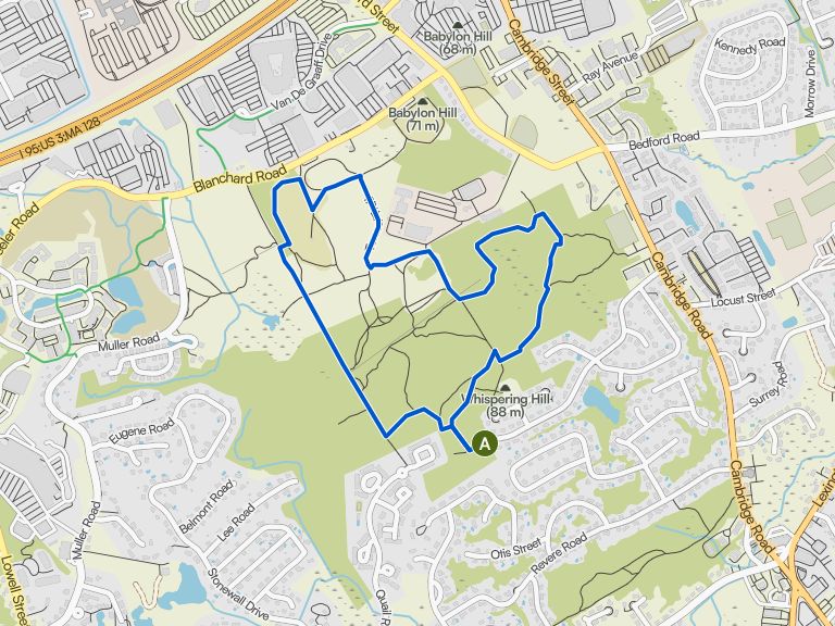 Whispering Hill loop — Mary Cummings Park | hike | Komoot