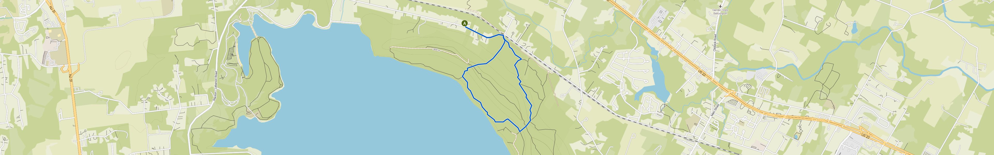 map_image_toggle